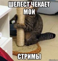 шелест чекает мои стримы