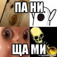 па ни ща ми