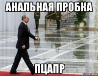 анальная пробка пцапр