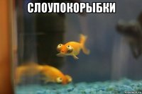 слоупокорыбки 