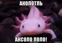 аколотль аксоло лоло!