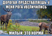 дорогая, представляешь, у меня рога увеличились милый, это норма
