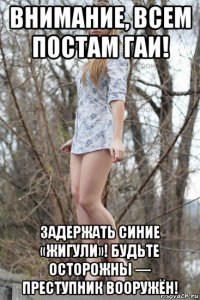 внимание, всем постам гаи! задержать синие «жигули»! будьте осторожны — преступник вооружён!