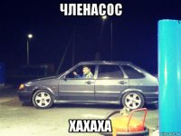 членасос хахаха