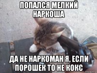 попался мелкий наркоша да не наркоман я, если порошек то не кокс