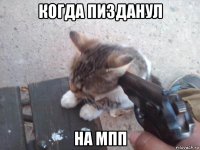 когда пизданул на мпп