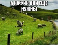 а нафик они еще нужны 