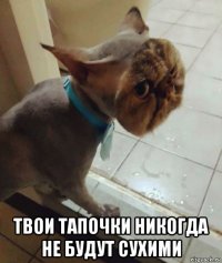  твои тапочки никогда не будут сухими