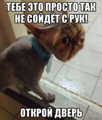 тебе это просто так не сойдёт с рук! открой дверь