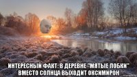 интересный факт: в деревне "мятые лобки" вместо солнца выходит оксимирон