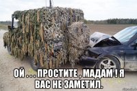  ой . . . простите , мадам ! я вас не заметил.