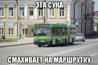 эта сука смахивает на маршрутку