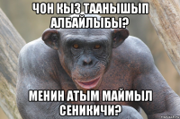 чон кыз таанышып албайлыбы? менин атым маймыл сеникичи?