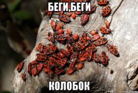 беги,беги колобок
