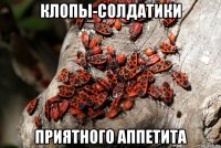 клопы-солдатики приятного аппетита