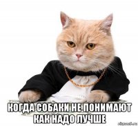  когда собаки не понимают как надо лучше