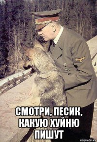  смотри, песик, какую хуйню пишут
