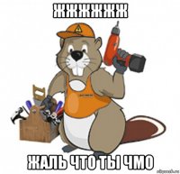 жжжжжж жаль что ты чмо
