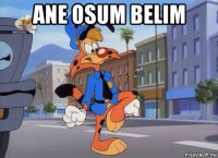 ane osum belim 