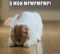 о мой мрмрмрмр! 