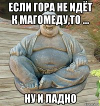 если гора не идёт к магомеду,то ... ну и ладно
