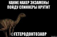 какие нахер экзамены пойду спиннеры крутит ©гетеродонтозавр