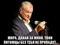  жора, давай за мной. твои питомцы без тебя не пропадут.