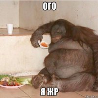ого я жр