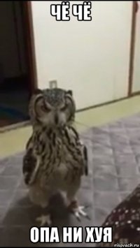 чё чё опа ни хуя