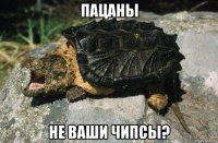 пацаны не ваши чипсы?