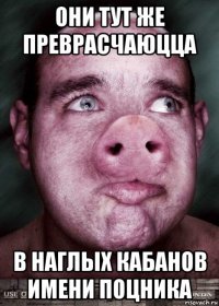 они тут же преврасчаюцца в наглых кабанов имени поцника