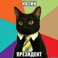 котик президент