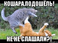 кошара,подошёль! не не слашали?!