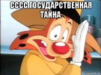 сссс государственная тайна 
