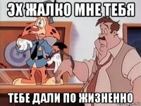 эх жалко мне тебя тебе дали по жизненно