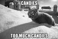 candies too much candies
