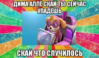 дима аллё скай ты сейчас упадёшь скай что случилось