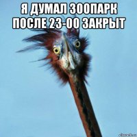 я думал зоопарк после 23-00 закрыт 