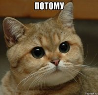 потому 