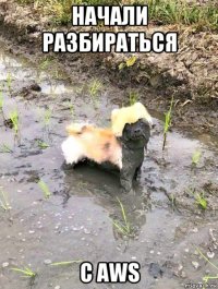 начали разбираться с aws
