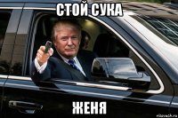 стой сука женя