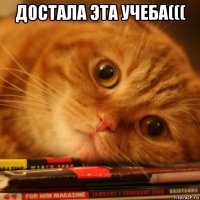 достала эта учеба((( 