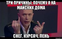 три причины, почему я на майских дома снег, курсач, лень