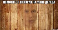 помогите я призрак на фоне дерева 