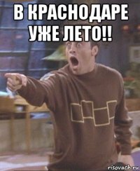 в краснодаре уже лето!! 