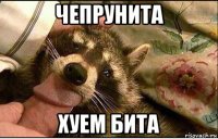 чепрунита хуем бита