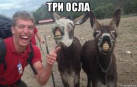 три осла 