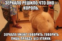 зеркало решило,что оно – король. зеркала умеют говорить, говорить лишь правду, без утайки.