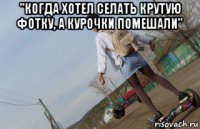 "когда хотел селать крутую фотку, а курочки помешали" 