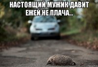 настоящий мужик давит ежей не плача... 